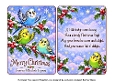 christmas budgies