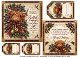 3 in 1 highland coo