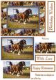 Shire Horses