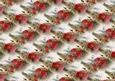 Poppy Backing Sheet