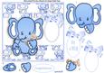 Baby Boy Elephant