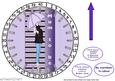 Pregnancy Countdown Clock
