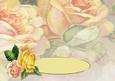 Ribbon Sash Roses Dl Insert