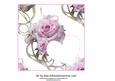 Pretty as a Picture Insert