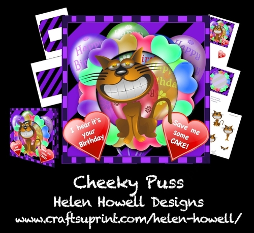 Cheeky Puss - suitable for both Male/Female