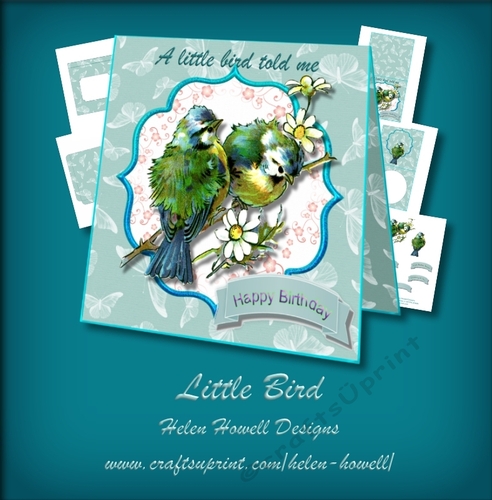 Little Bird - Multi Occasions Card - Tent Card