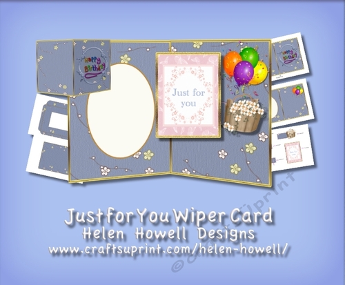 Just for  You Wiper Card