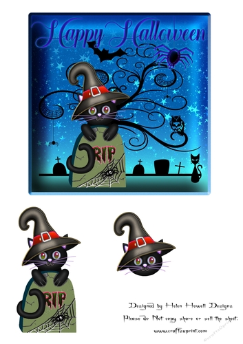 Black Cat Halloween