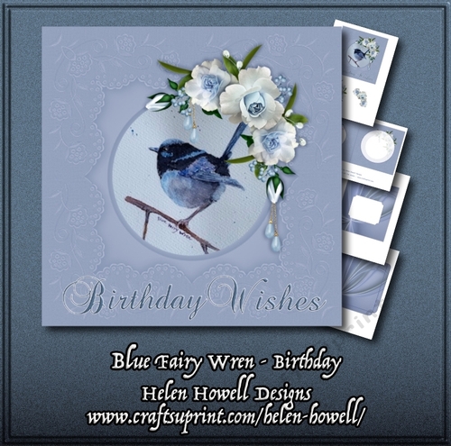 Blue Fairy Wren - Birthday