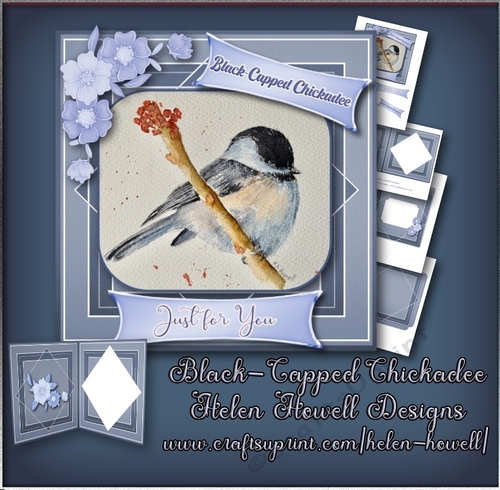 Black-Capped Chickadee - Use for any occasion you wish. 