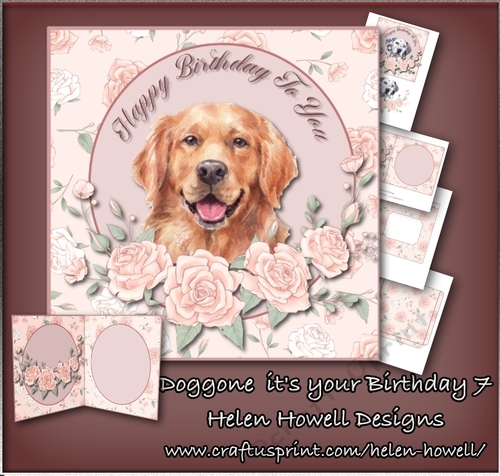 Doggone its your Birthday 7
