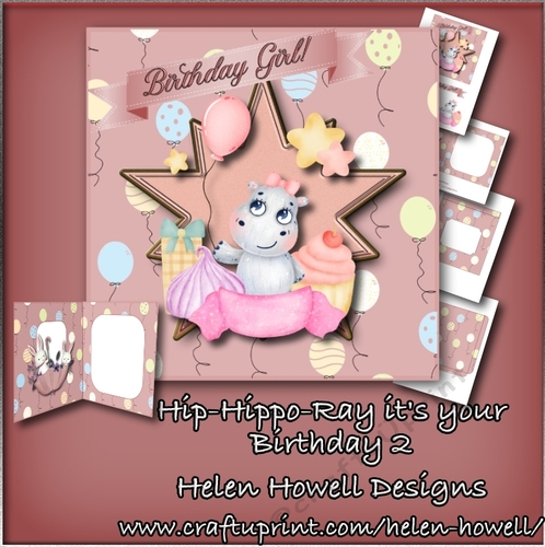 Hip-Hippo Ray its your Birthday  2 - Girl