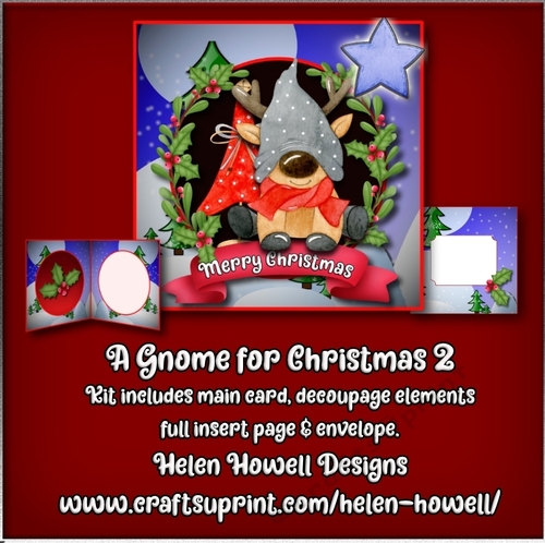 A Gnome for Christmas  2