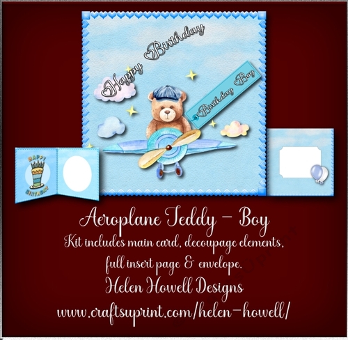 Aeroplane Teddy - Boy