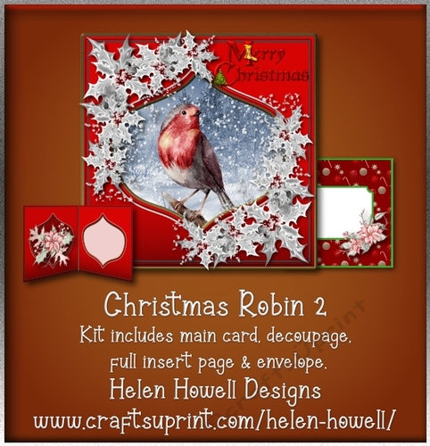Christmas Robin 2