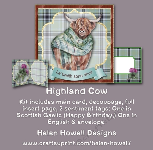 Highland Cow - suitable for both male and female. 