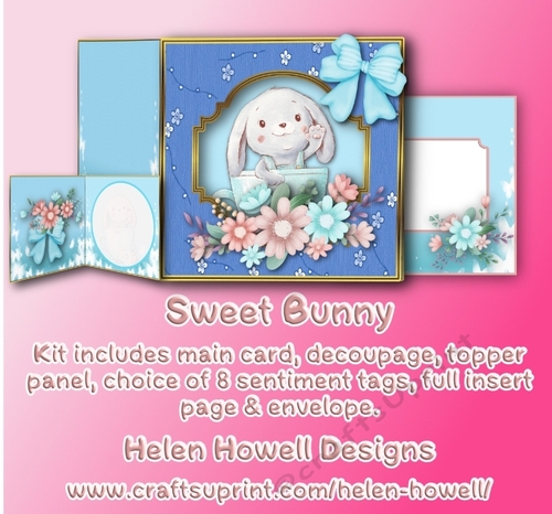 Sweet Bunny - Cut & Fold Card with Stand Out Top Panel - Multi Occasions.