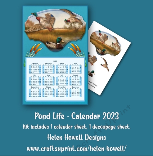 Pond Life - Calendar 2023