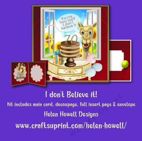 I dont believe it! - Unisex card - 70th Birthday