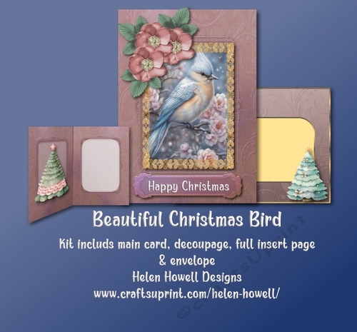 Beautiful Christmas Bird