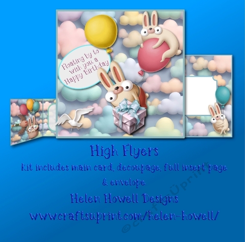 High Flyers - Suitable for Male/female/children