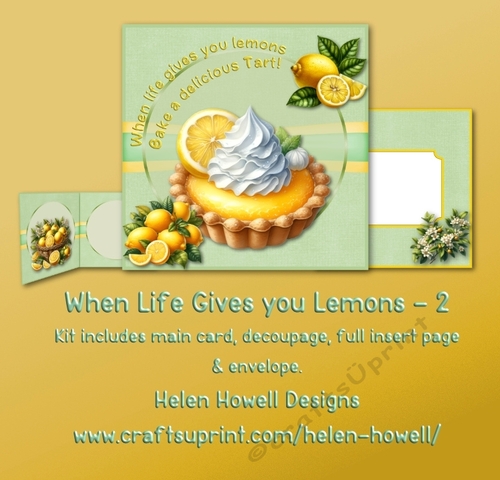 When life gives you lemons 2 - Blank Card