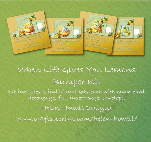 When life gives you lemons Bumper - Blank Cards