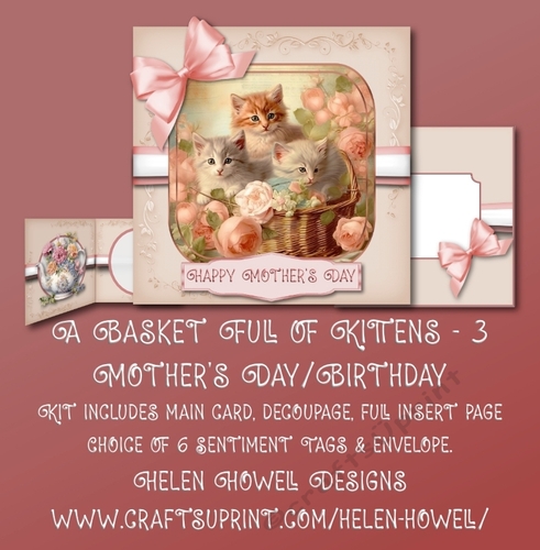A basket full of Kittens 3