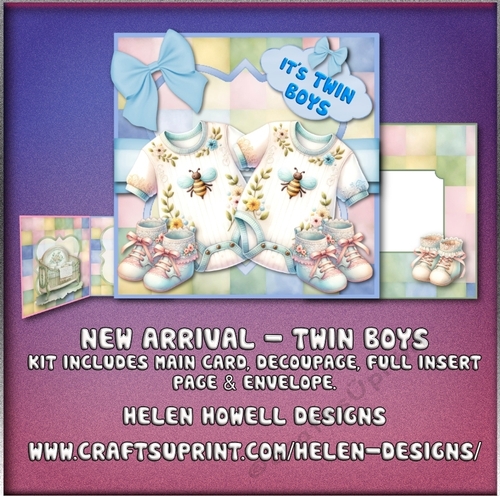 New Arrival - Twin Boys