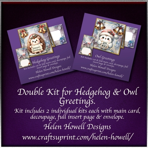 Hedgehog & Owl Greetings  - Tent Cards - Double Kit 