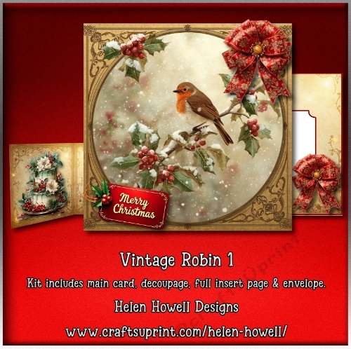 Vintage Robin 1