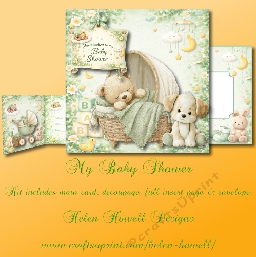 My baby Shower