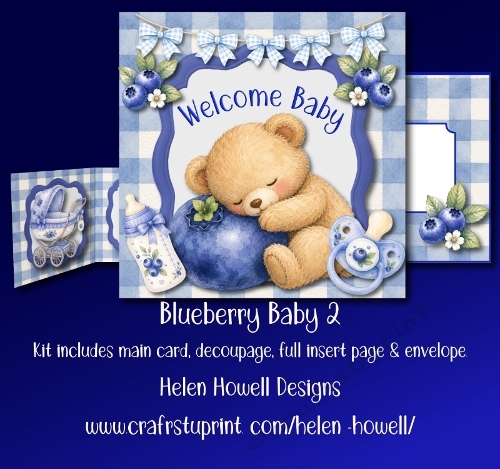 Blueberry Baby 2