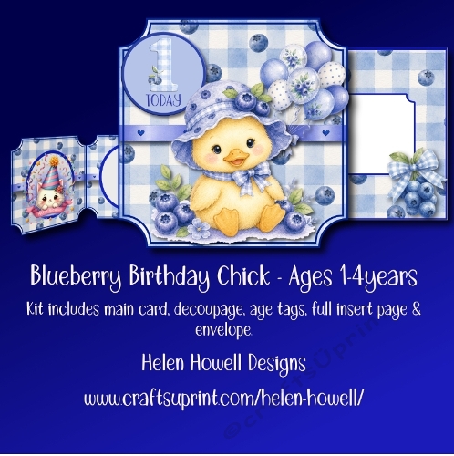 Blueberry Birthday Chick 1-4 years