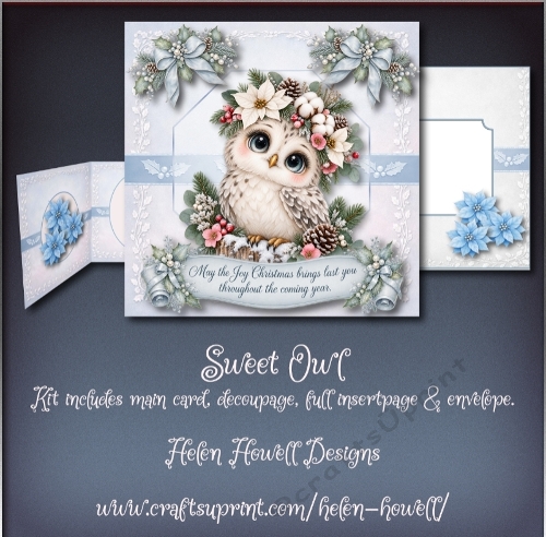 Sweet Owl