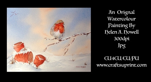 Robin Red Breast