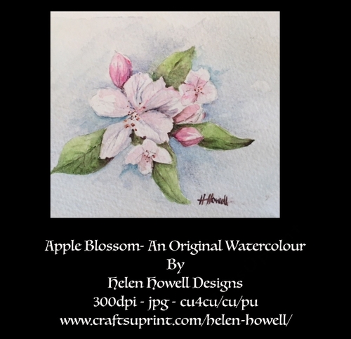 Apple Blossom