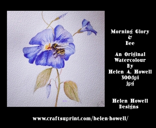 Morning Glory & Bee