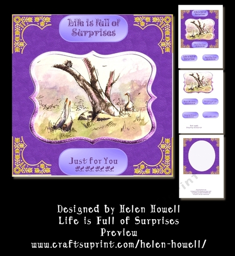 Life is Full of Surprises - Various Occasions Card