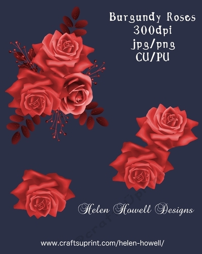Burgundy Roses 