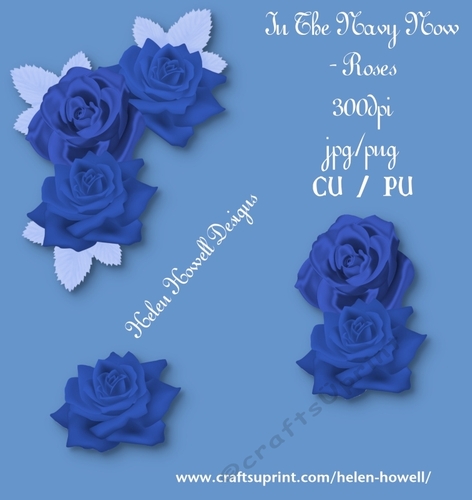 In the Navy Now - Roses