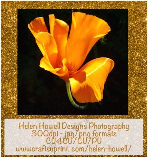 Gold Flower