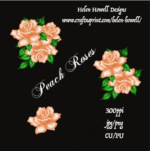 Peach Roses Decoupage Kit