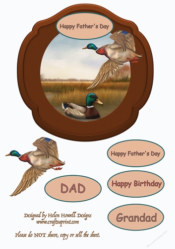 Mallards Fathers Day/Birthday