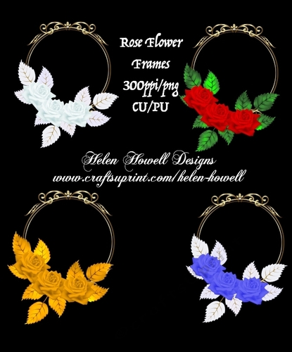 Roses & Gold Frames