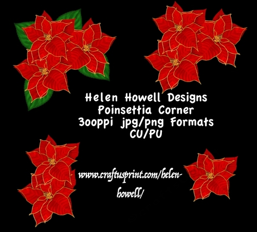 Poinsettia Corner