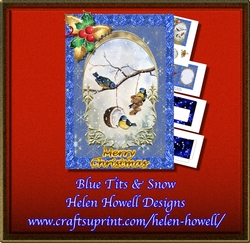Blue Tits & Snow