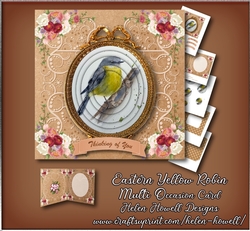 Eastern Yellow Robin - Multi Occasions Card