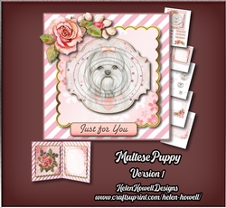 Maltese Puppy - Version 1 - Multi Occasions Card