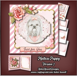 Maltese Puppy - Version 2 - Multi Occasions Card